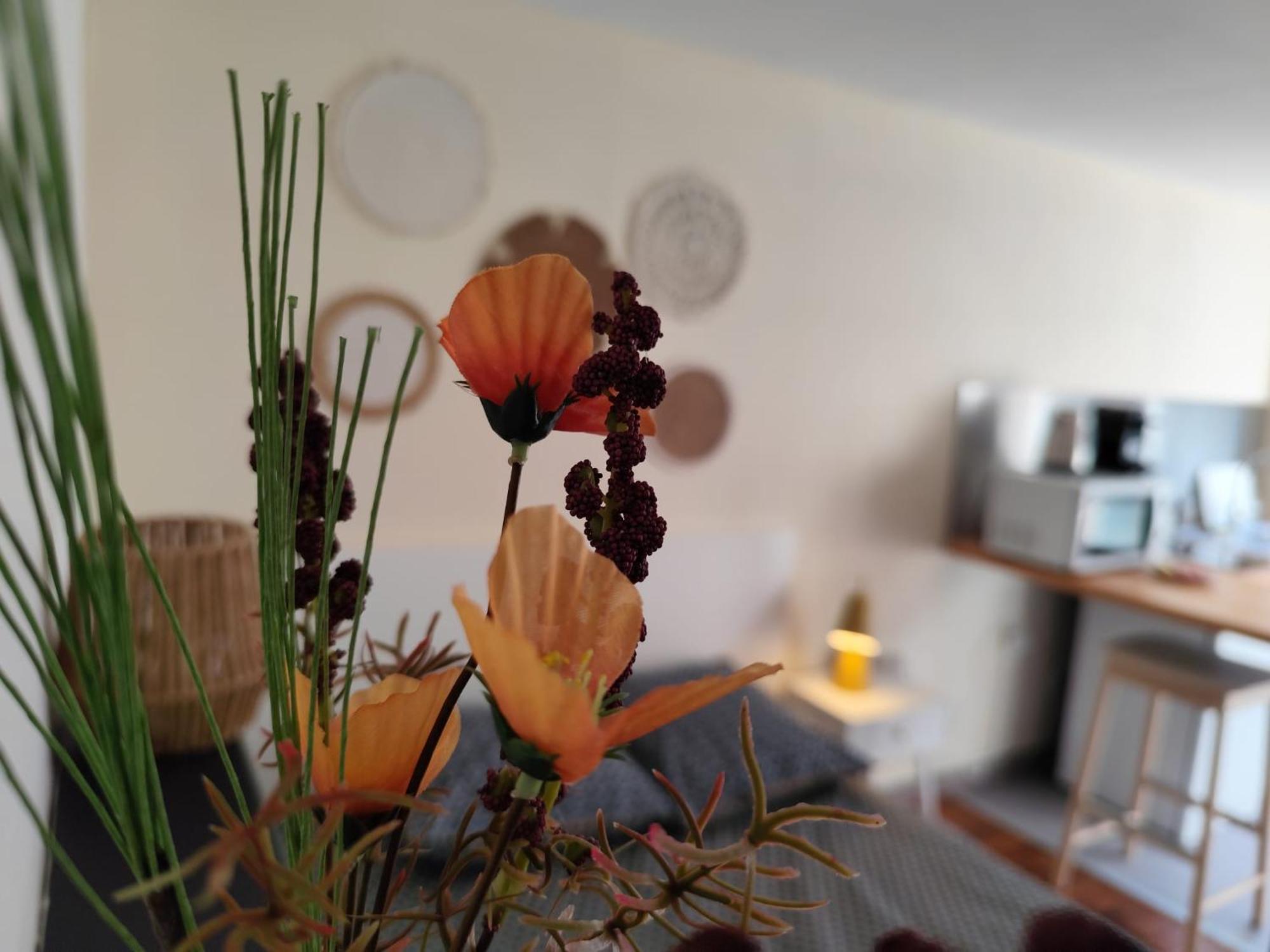 Apartmán Le Nid 2 Quimper By Nid'Ouest Exteriér fotografie